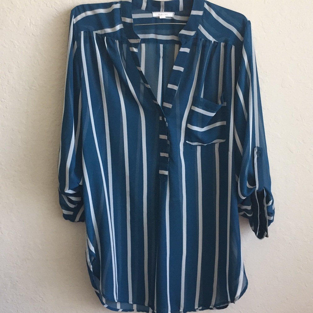 Pleione Stripe Top